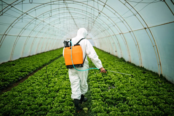 Best Pest Control Near Me  in Mountain Brook, AL