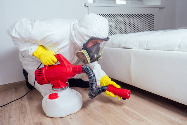 Best Flea Control Services  in Mountain Brook, AL