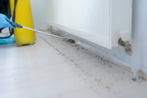 Best Best Pest Control Companies  in Mountain Brook, AL