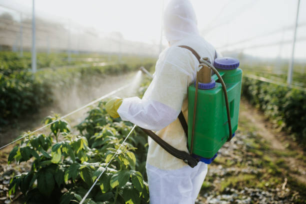 Best Pest Prevention Services  in Mountain Brook, AL